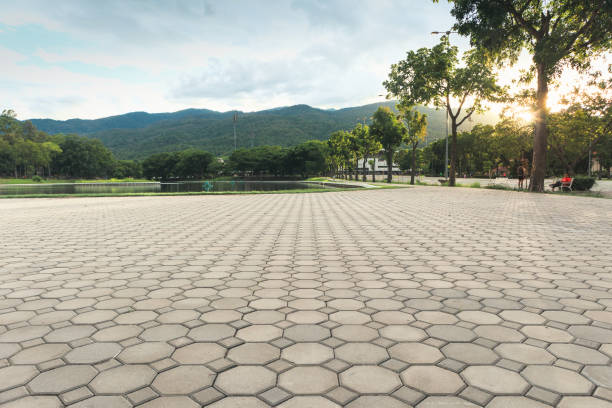 Best Professional Driveway Pavers  in Colonial Rk, PA